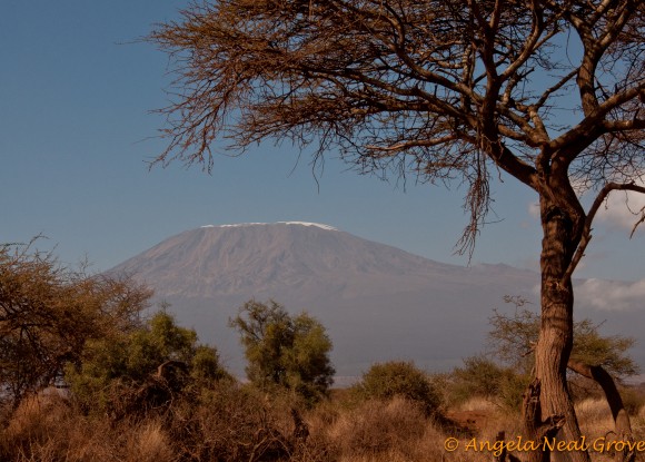 Mt. Kilimanjaro from Mombasa Road Mr. Kilimanjaro showing receding snow