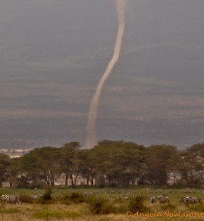 Dust devils in Amboseli, Kenya Amboseli, Kenya.