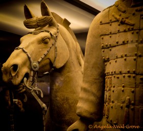 Horse with terracotta warrior horse with terracotta warrior