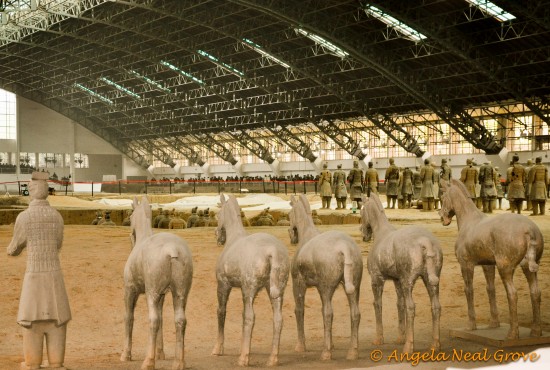 One of the excavated pits Pit showing terracotta horses and warriors