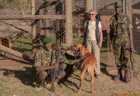 Crack K9 anti poaching patrol at Lewa K9 anti poaching patrol