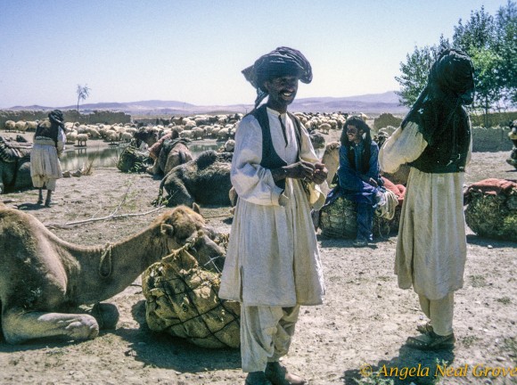 Kochi Nomads and flocks Nomads near Kandahar in Afghanistan