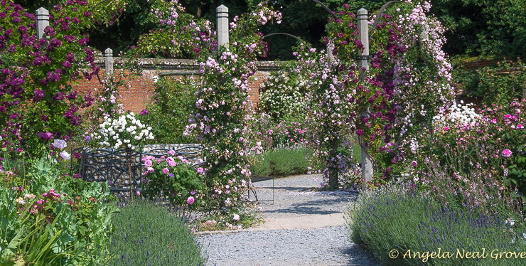 English Garden Style, Rose garden at Mottisfont Abbey, UK, is world famous
