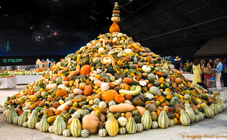 Heirloom Seeds Expo Has Global Message: A tower of squash and pumpkins was a show-stopper at the National Heirloom Expo in Santa Rosa, California