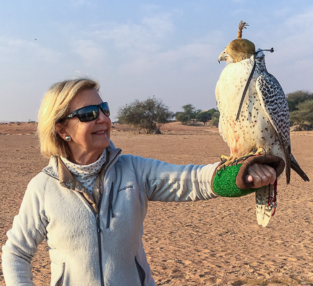 Falconry in the Dubai Desert; Some of watching the display of falcons were able to hold the birds