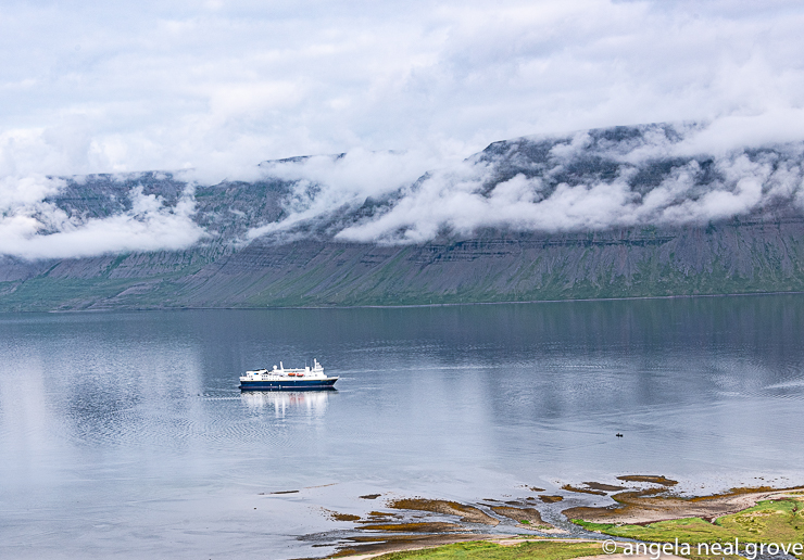 I circumnavigated Iceland in the National Geographic Explorer, operated by Lindblad. The ship is an icebreaker which heads to Antarctica in the winter. From the ship we were able to visit many remote fjords and islands which would have been inaccessible by road. From the ship we clambered into zodiacs to take us to shore or along dramatic cliffs. Knee high rubber boots were useful for these wet landings on the shore. Iceland is a land of contrasts. //: PHOTO: A.N GROVE